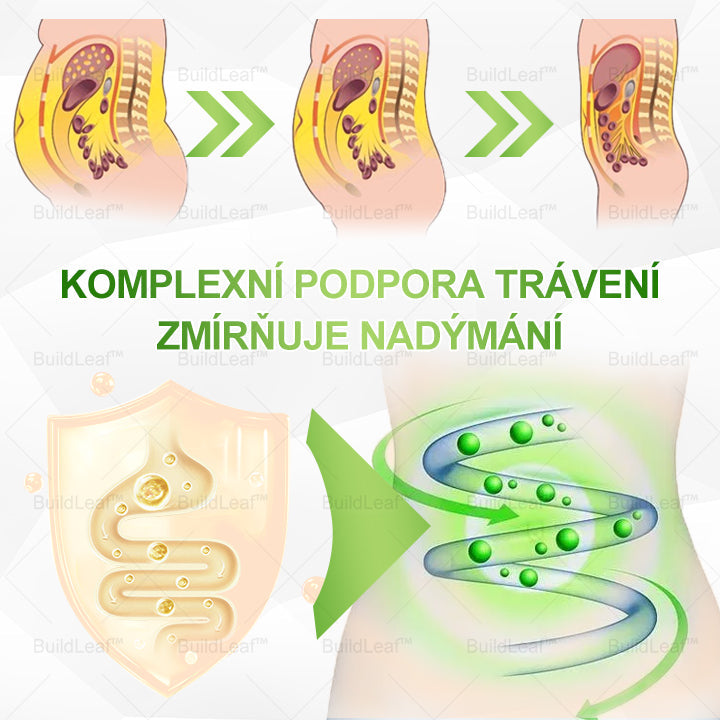 ⏰ Zbývá už jen několik kusů na skladě! Využijte speciální slevu -50%! ⏰ BuildLeaf®